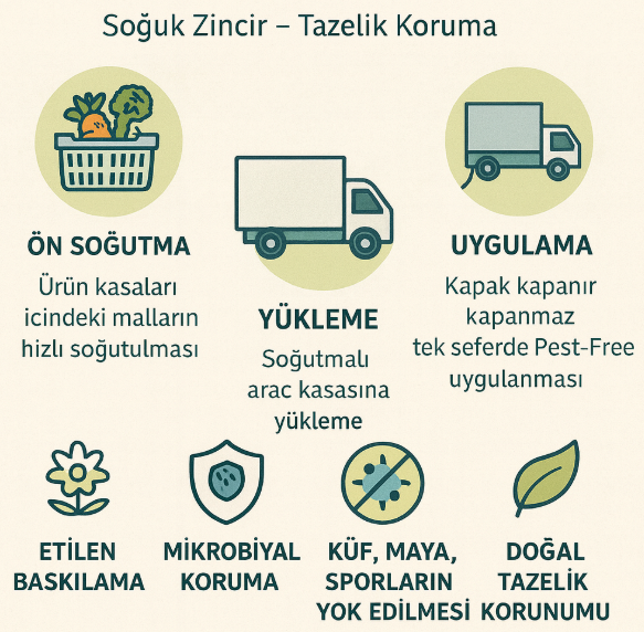 Pest-Free soğuk zincir – tazelik koruma akış şeması